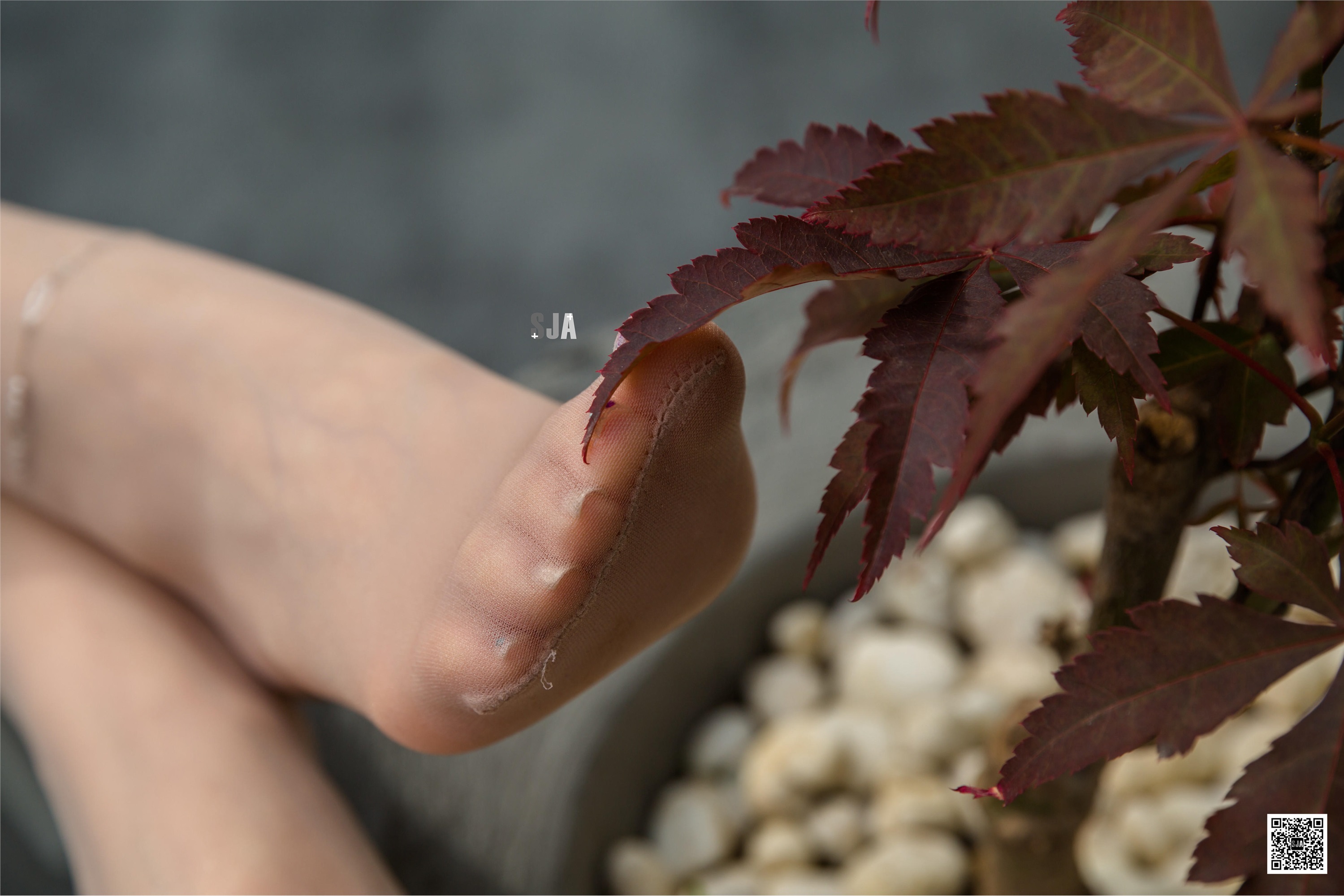 SJA佳爷 闺蜜视角 NO.064 柔